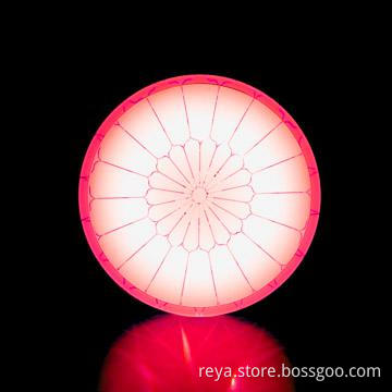 RGB dimmable ceiling lamp with dimming switch